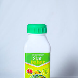 स्टारबहार