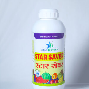 स्टारसेवर