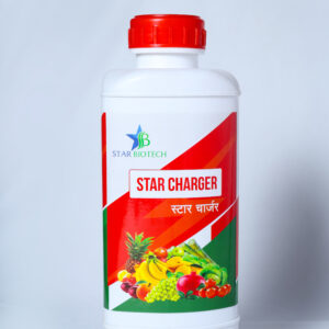 स्टारचार्जर