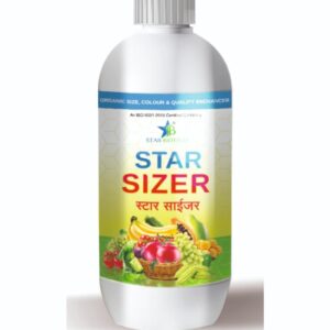 स्टारसाईजर