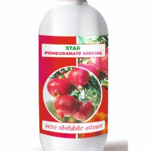 स्टारपोमोग्रनेटस्पेशल