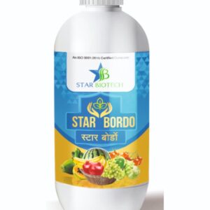 स्टारबोर्डो